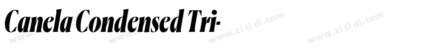 Canela Condensed Tri字体转换